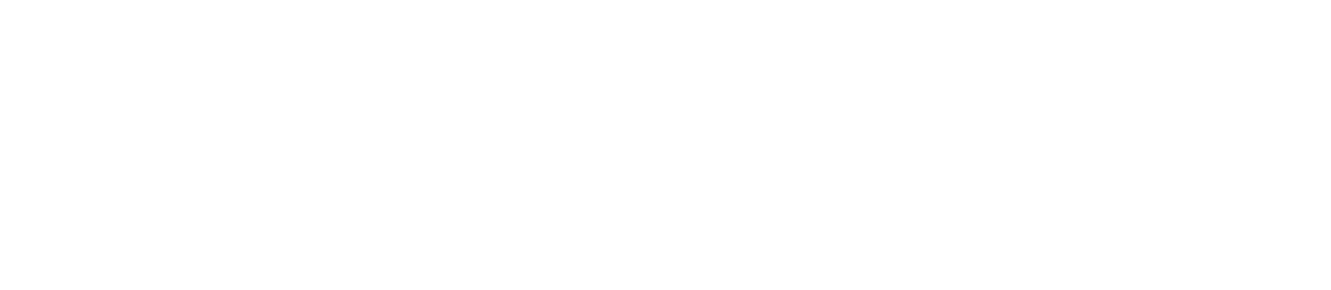 Cofinanciado pela União Europeia